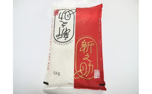 【令和7年産米】 新潟県村上市 岩船産 新之助 5kg