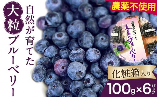 ★先行予約受付中★大粒で食べ応え◎こだわりブルーベリー