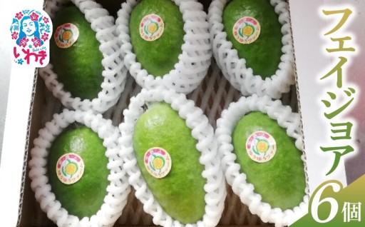 【先行予約】フェイジョア果実(大玉) 6個入り！