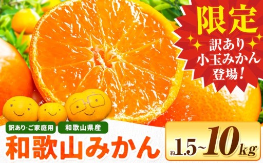 ご家庭用にぴったり🍊選べる和歌山みかん！