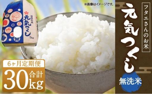 【6回定期便】フタエさんの お米 元気つくし 無洗米 5kg×6回