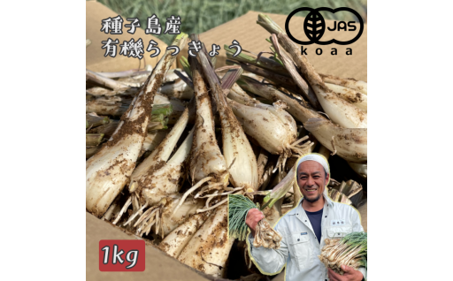 こだわりのオーガニック栽培！健康食材“らっきょう”