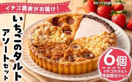 いちごのタルトアソートセット(6種)