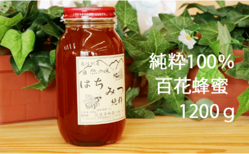 豊かな自然の中で採取！100％百花はちみつです🍯