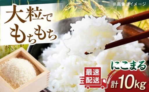 【スピード配送！】糸島産ブランド米にこまる1等米