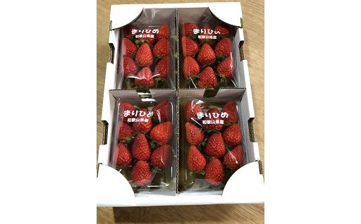 甘みと、華やかな香りが特徴の和歌山イチゴ