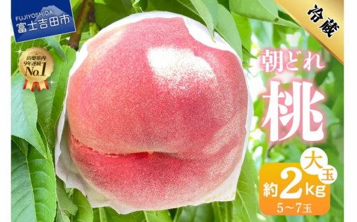 山梨の朝どれ桃2kg　大玉5玉～7玉 もも 
