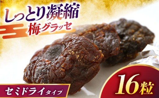 ＼半年熟成の深い味わい／希少な紅映梅を使用。しっとり芳醇な「うめグラッセ」