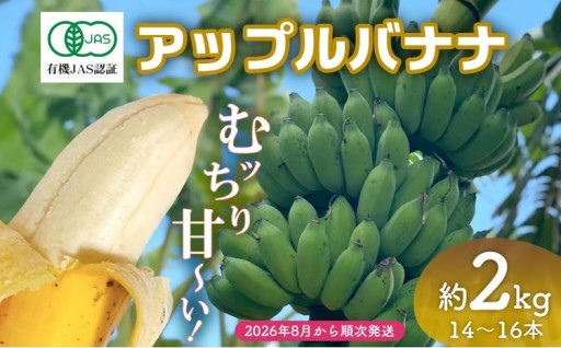 【2026年発送】宜野座村産 有機JAS認証のアップルバナナ 約2kg