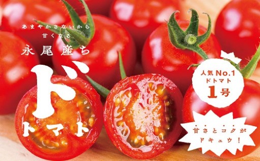 あまやかさないから甘くなる！永尾産ちのドトマト