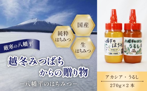 アカシア＆うるし蜂蜜食べ比べ セット 