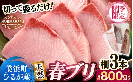 【春季限定🌸】極上の脂のり！切って盛るだけ！👌