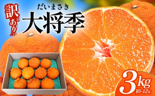 【ご家庭用に！】南大隅町の恵みを味わう大将季（だいまさき）です！