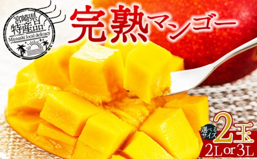 ＜宮崎県産 完熟マンゴー 2Lor3L 2個＞