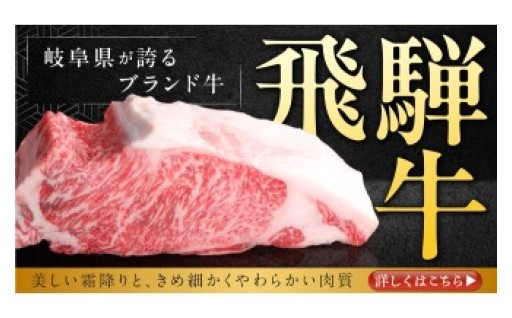 【極上の贅沢】清流と山々が育んだ至宝。とろける至福の「飛騨牛」特集