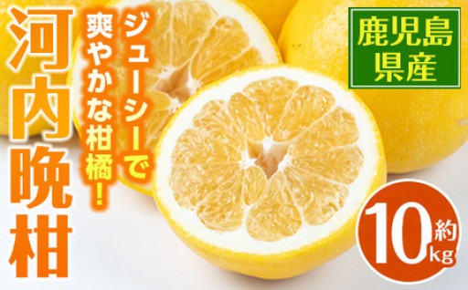 ＜2026年4月下旬～5月下旬の間に発送予定＞ 河内晩柑 (約10kg)