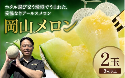 贈り物にも◎贅沢岡山アールスメロン