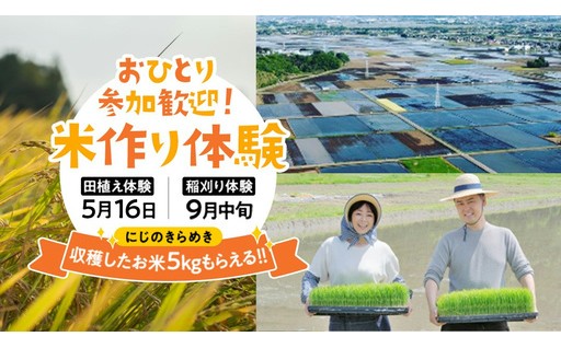 ＼5月16日(土) 開催予定／ 米作り体験(田植え・稲刈り)にチャレンジ！にじのきらめき 5kg付きです！