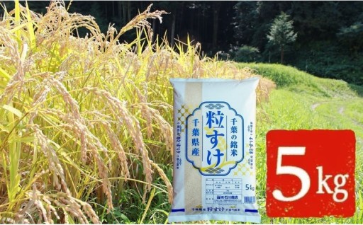 【 令和7年産 】【 新品種 】千葉・粒すけ（精米） 5kg