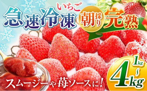 【選べる 容量 】 完熟・急速 冷凍いちご 1kg～4kg | 渡邉いちご園 