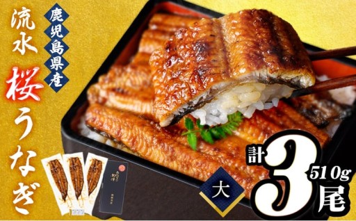 【丑の日までに配送】熟練の技が冴える！うなぎの柳澤 流水桜うなぎの蒲焼き3尾(計510g)