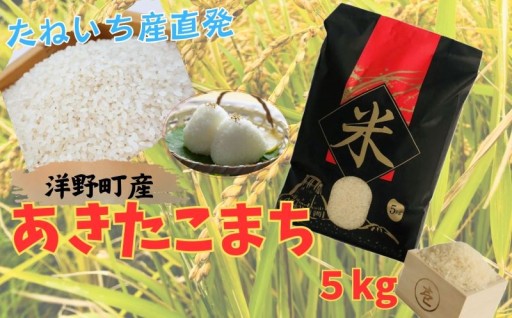 【令和7年産】洋野町産あきたこまち5㎏