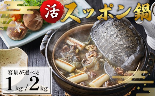 🐢✨ 【配送月・容量が選べる】綾部で育てた！！スッポン鍋 約1kg / 約2kg 🐢✨ 