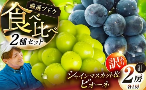 【先行予約】訳ありだけど味は一級品！ぶどう2種