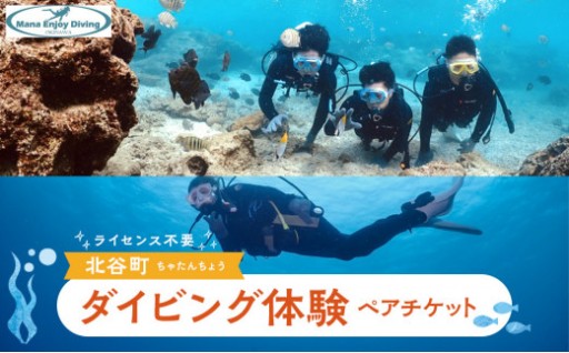 ライセンス不要のダイビング体験ペアチケット@北谷町
