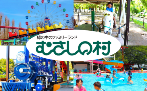 ★新規返礼品のお知らせ★むさしの村遊園地 入園券/フリーパス/のりもの券 