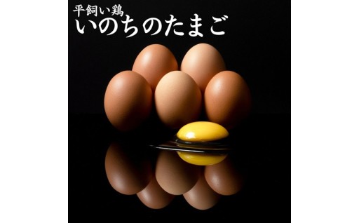 【食べチョクアワード2025受賞】平飼い鶏の『いのちのたまご』