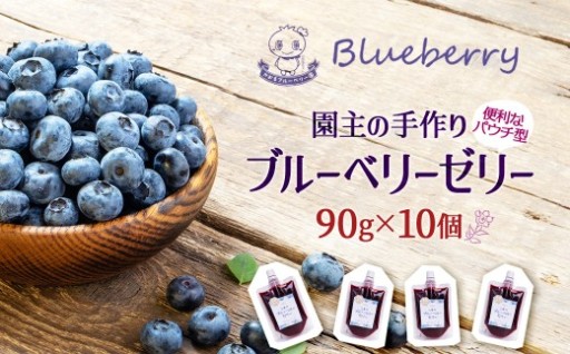 園主の手作り ブルーベリーゼリー 90g×10個