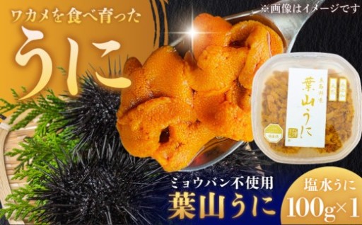無添加 塩水うに100g 葉山産