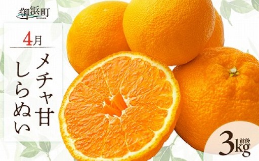 【受付締切り迫る💦】4月の御浜柑橘 メチャ甘しらぬい 3キロ前後🍊