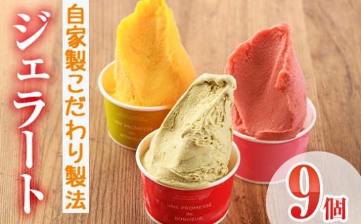 自家製こだわり製法！自家製ジェラート(9個)