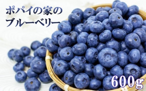 福祉事業所ポパイの家の採れたてブルーベリー！