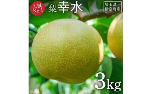 '26年産先行予約中！伊奈町産 梨『幸水』3kg