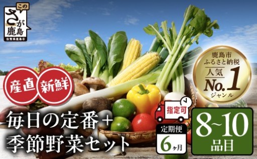 野菜 定期便 6回 (8～10品目) 野菜ソムリエ厳選 肥前の国の旬野菜セット 【曜日・時間帯指定OK】