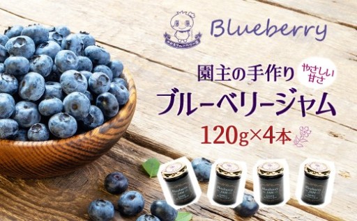 園主の手作り ブルーベリージャム 120g×4本