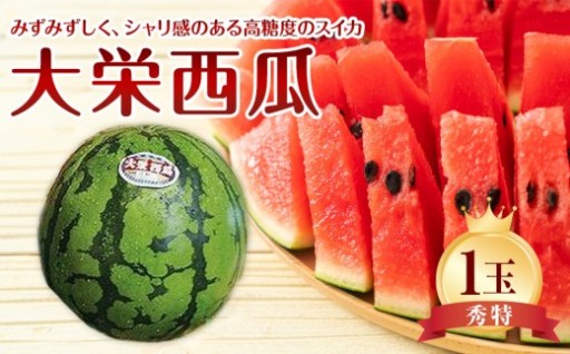 【先行予約】【ＪＡ】大栄西瓜 秀特×1玉