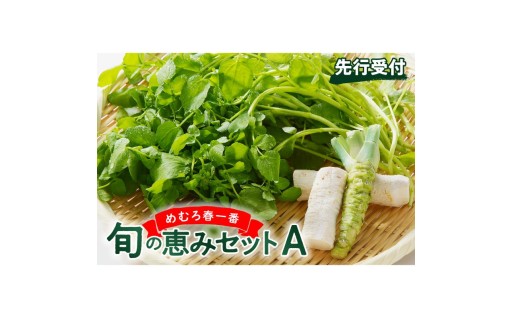 【北海道芽室町】4月下旬より発送　めむろ春一番🌸旬の恵みセット🌿