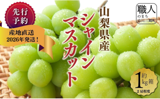 山梨県産シャインマスカット　１kg箱
