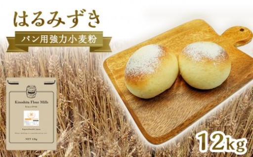 パン用 強力小麦粉「はるみずき」12kg