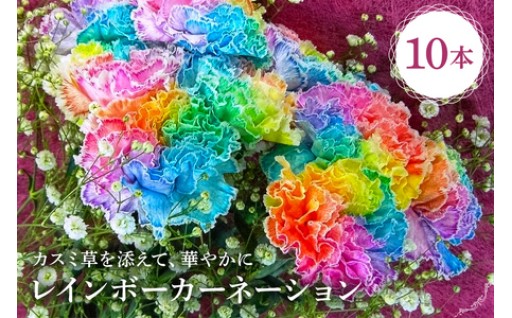 レインボーカーネーション 10本セット