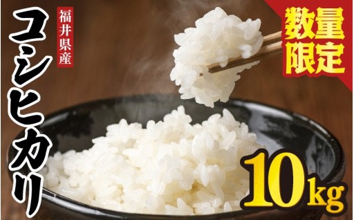 【数量限定】特別寄附額✨絶品の味わいをお届け！🍚