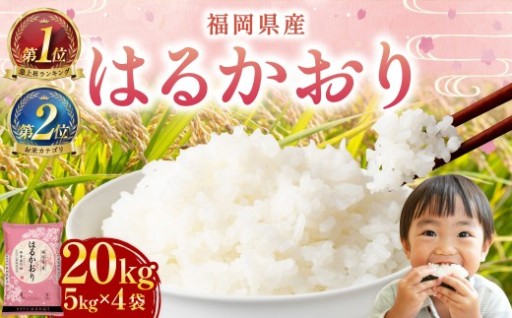 【令和7年産】はるかおり 精米 20kg