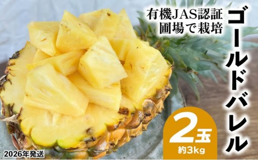 有機JAS認証圃場で栽培　ゴールドバレル　2玉（約3kg） 