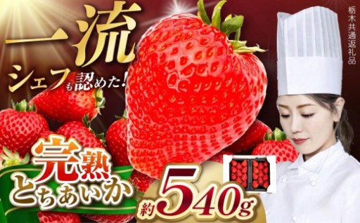 2026年出荷、まだ間に合う！！一流シェフが認めた「とちあいか」🍓 Grande（グランデ） 