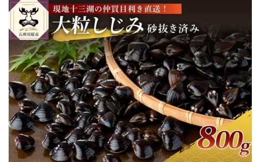 大粒しじみ冷凍800g（冷凍・砂抜き済）🌊⚫