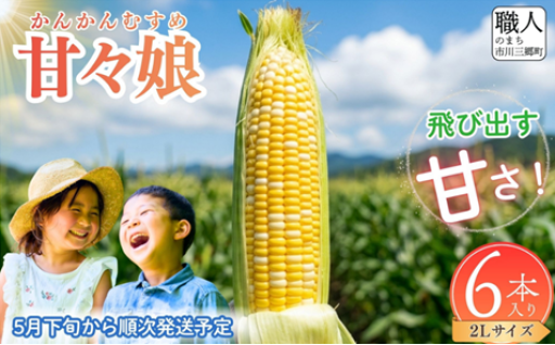 甘々娘 とうもろこし 6本入り 2Lサイズ 